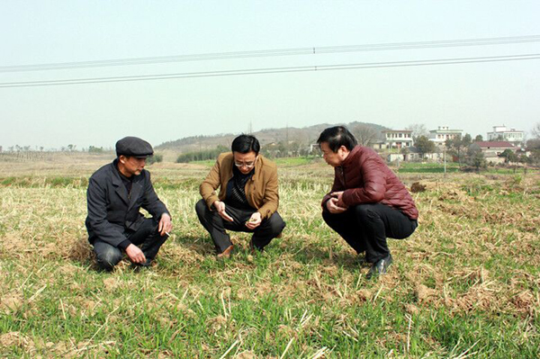 ����®����ұ��ɽ�򣺡��Ƽ���Ʒ������ͷ