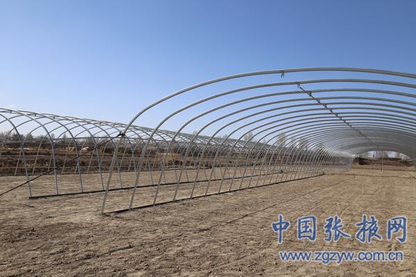 ɽس»¹壺ʳþҵƾ׼ƶ