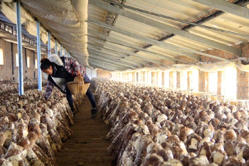 227գʡڻũҵҵ԰ڲժ㹽