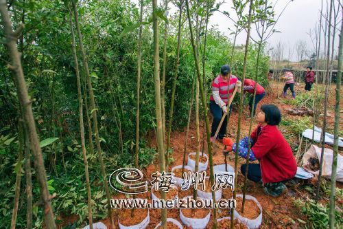 㶫÷ݣˮչũعæ籸ս