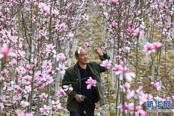 229գʡʺƺƺ弼Աں컨ؽޡ