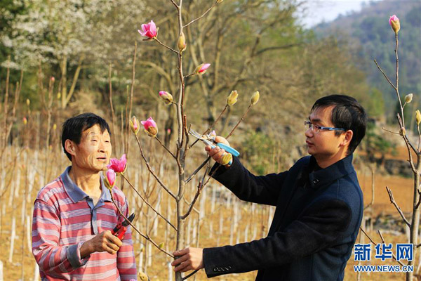 229գʡҵҵܹʦɣңָ컨רҵлڹ