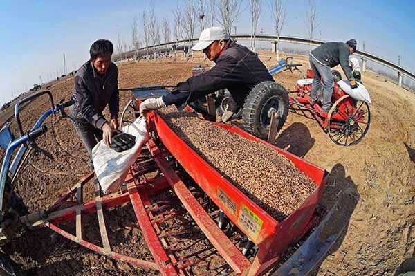 宁夏:早春播种忙