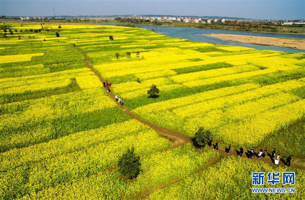 228գʡϪβͲ˻࿪š