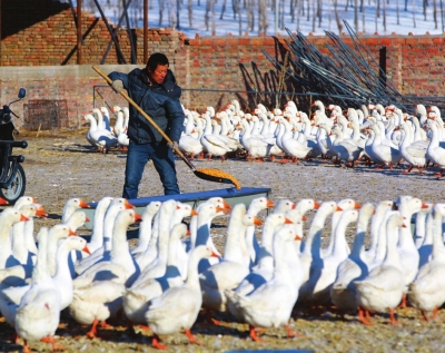 ׶Ե׼ۻķʽִ֧41ƶֳ׶졣