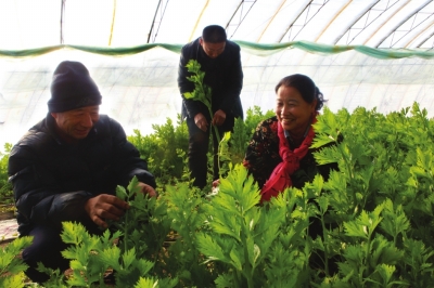 ȥ½386ƶֲƹϺͷ߲ˣ11343951ƶ˿ʵ˵ƶͼΪ͸ߵ»۲ϲա