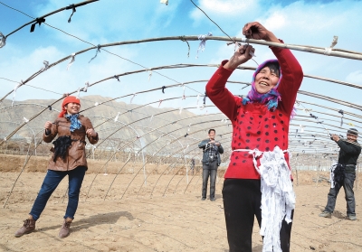 甘肃皋兰:黄河岸边春耕忙