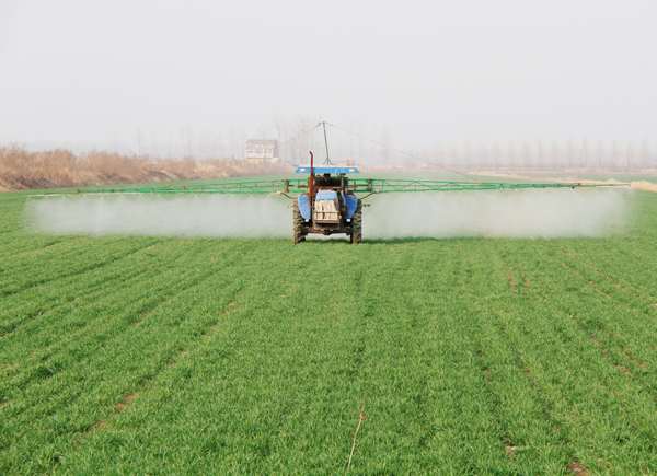 安徽省农垦龙亢农场加强小麦春季田管