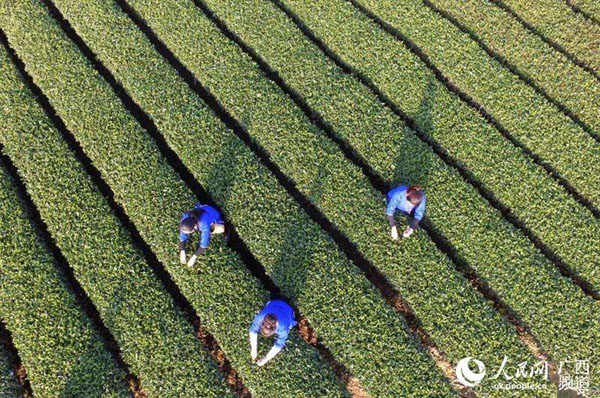 31գȺڹذ˽ţͲ԰ڲժ衣