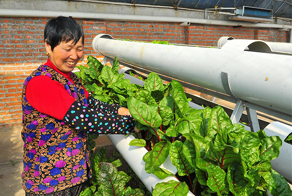 32գԱڳ˫Եɽũҵ԰ڹֲֲܻ