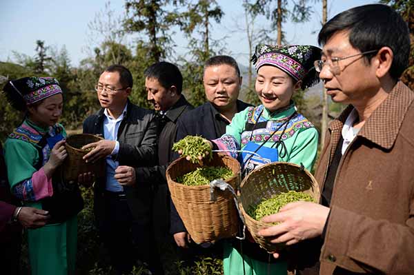3月1日,在贵州省沿河土家族自治县塘坝镇榨子村,两位土家族姑娘在给帮扶干部介绍茶青的收成。
