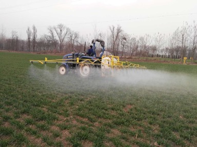 226գ۳ũĴֲеΪСݼ