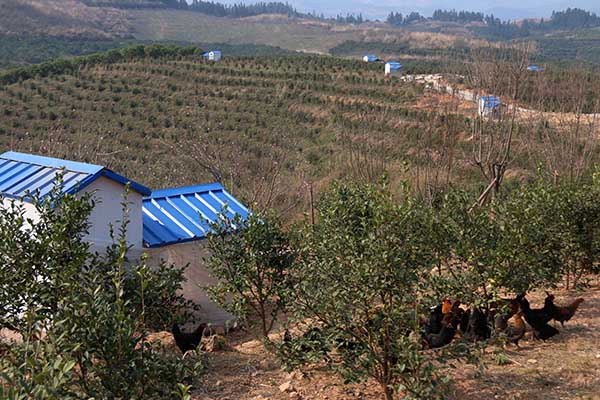 32գڹǭƽظִũҵ԰Ͳʳ