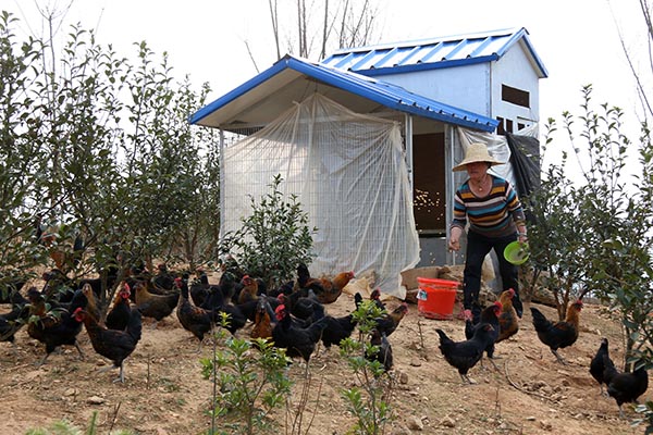 32գڹǭƽظִũҵ԰ͲԱڸͶʳ