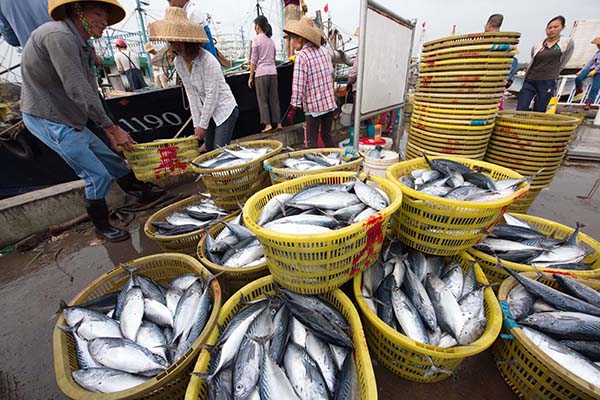 º£ÄÏÓæ¸Û´ºÑ´Íú