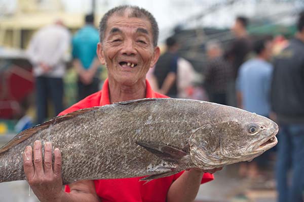 3ÔÂ6ÈÕ£¬º£ÄÏÇíº£ÊÐ̶ßÛÒ»ÃûÓæÃñչʾ²¶»ñµÄ´óº£Óã¡£