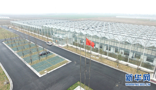 ռ1Ķĺũҵ̬԰⾰һǣ34㣩