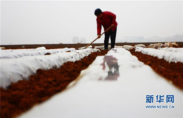 35գɽʡׯɽͤһũΪǵĤ