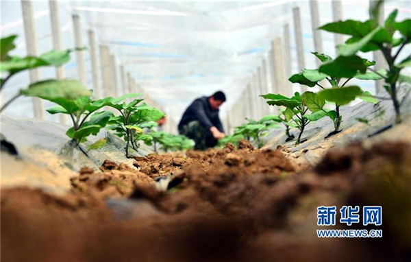 35գɽʡĳƽؼկͷԬũڴӴ档