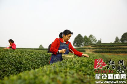 ϳɳ𾮲迪ʼժ һܺ򵽴