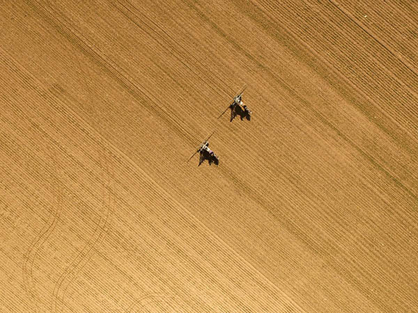 310գںӱׯ壬ũԱôͻеΪСũҩ