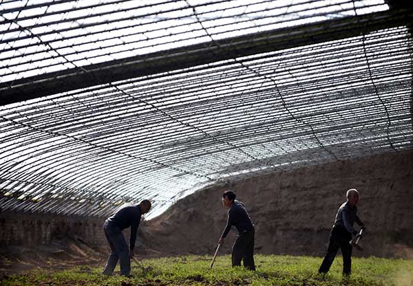 37գԱȷй½ɵʩֲ߲ƽء