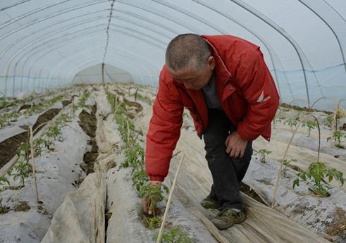 �������ݣ����ﴺ��æ