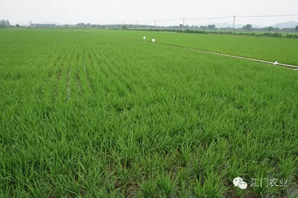 㶫ޱ޼ʵġ̡Ǵ˵еġ㶫һ