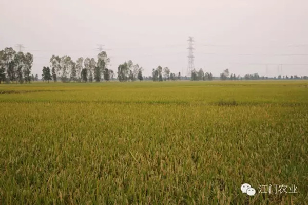 㶫ޱ޼ʵġ̡Ǵ˵еġ㶫һ