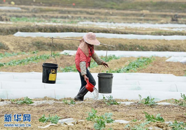 315գڹɫҽϴ壬ũڵ罽ˮ