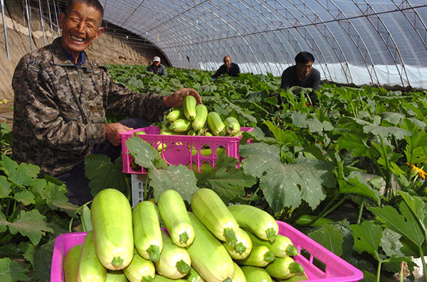 �ӱ�Χ����ɫ�л��߲���������