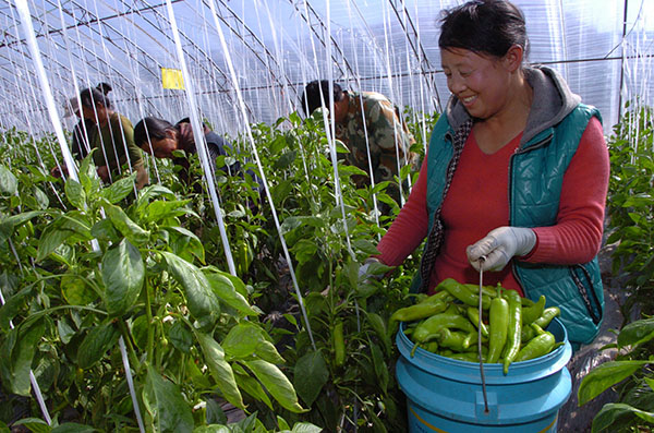 3��14�գ�Χ����������߲˺�����Ĵ����ڴ����ժ������