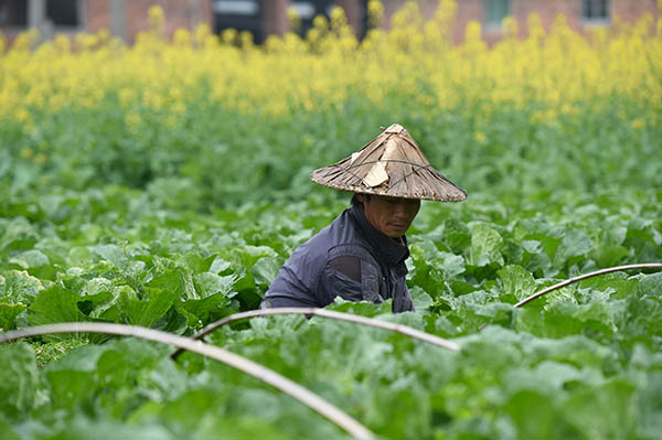 316գʡس԰򸣶˳ת߲ˡ