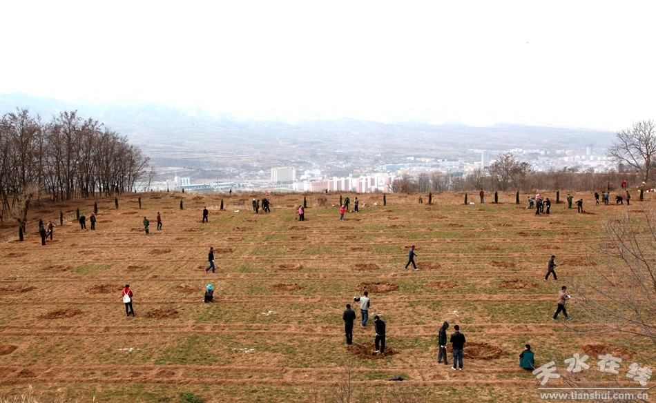 甘肃清水:3万亩干鲜果基地开建