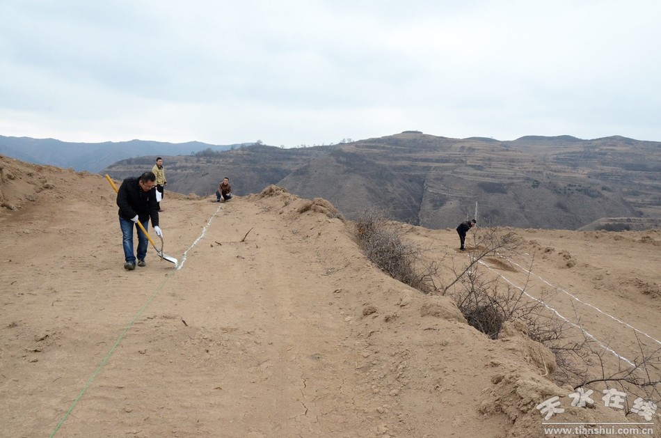 当前正值植树播种好时节,清水县迅速启动了以3万亩干鲜果基地建设为主的春季植树造林工作。