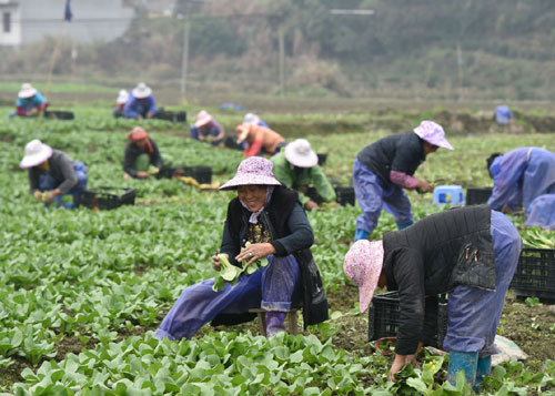 317գڸʡذʹ壬һЩԹݵũաϺࡱ