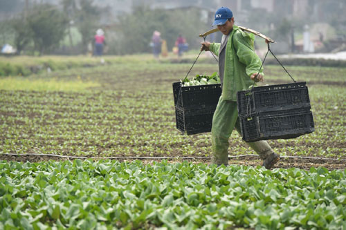 317գڸʡذʹ壬һλԹݵũջġϺࡱ˳