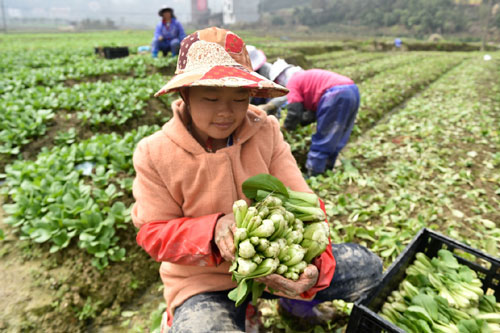 317գڸʡذʹ壬ԹݵũաϺࡱ