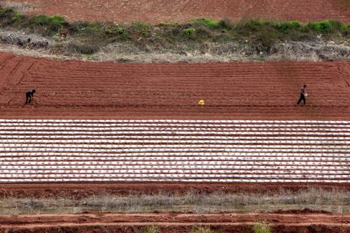 318գںʡͶϪƺ壬ش