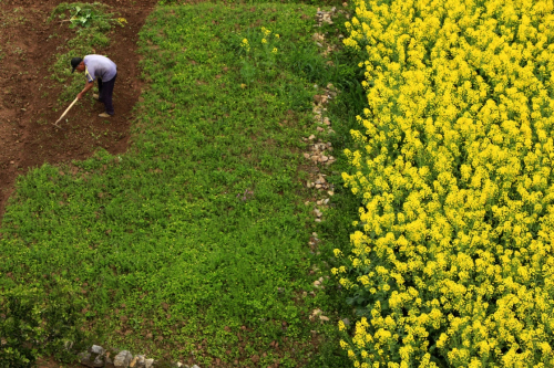 318գںʡͶϪƽӴ壬һش