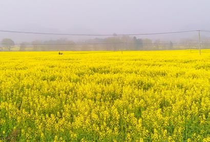 ���ջ����أ��˻�����ӭ����