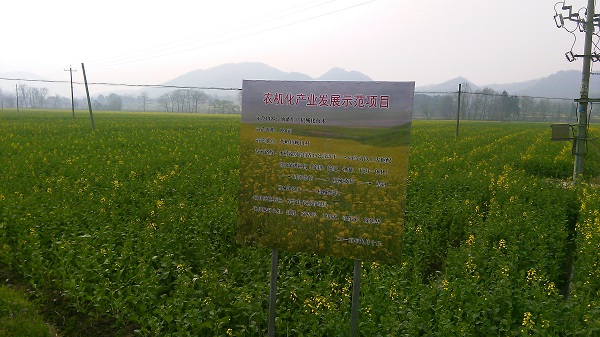 ���ջ����أ��Ͳ�������е��ʾ����ǿ���� ���Ȳ�