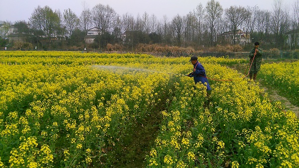 ���ջ����أ��Ͳ�������е��ʾ����ǿ���� ���Ȳ�