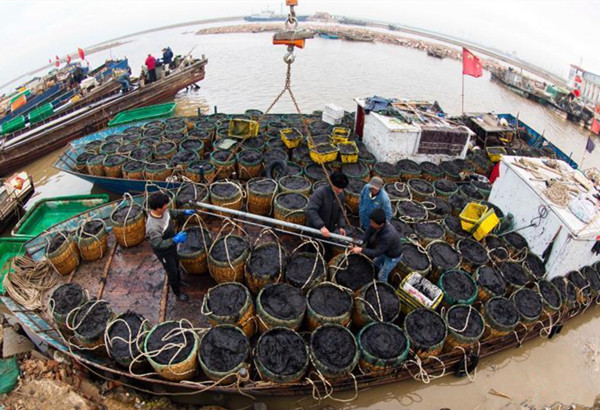 �������Ƹۣ������ϲ˴����