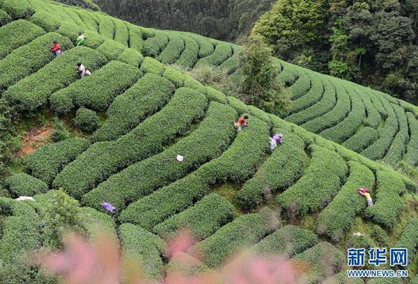 ������ƽ�أ������ժæ