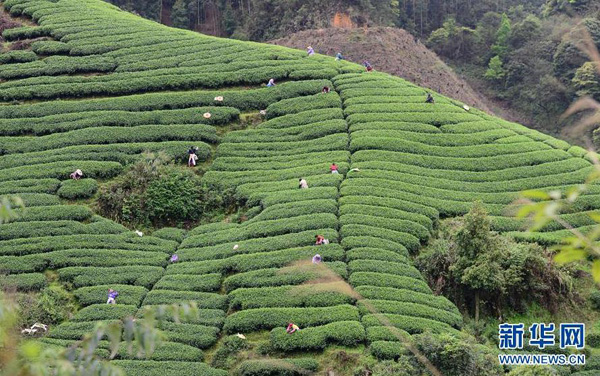 3��23�գ���ũ�ڹ�����ƽ�ش���ɽ��ɽ��̬��԰��ժ���衣