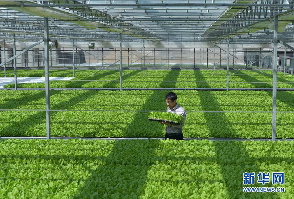 324գൺīũҵԱο˹ʽҼ޲