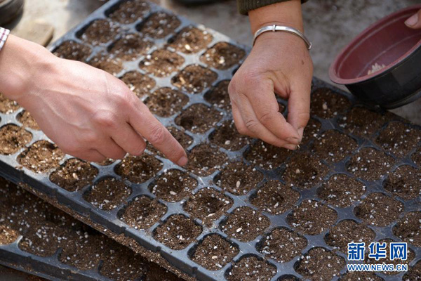 324գൺīũҵʽңԱָũԱɫ߲֡