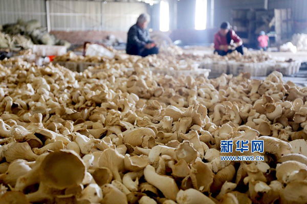 ������Ȩ���Կھ�׼��ƶ��ũ��������