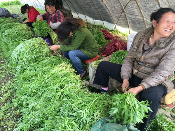 ТУС޼ɡҵ Сתʹٳɴ